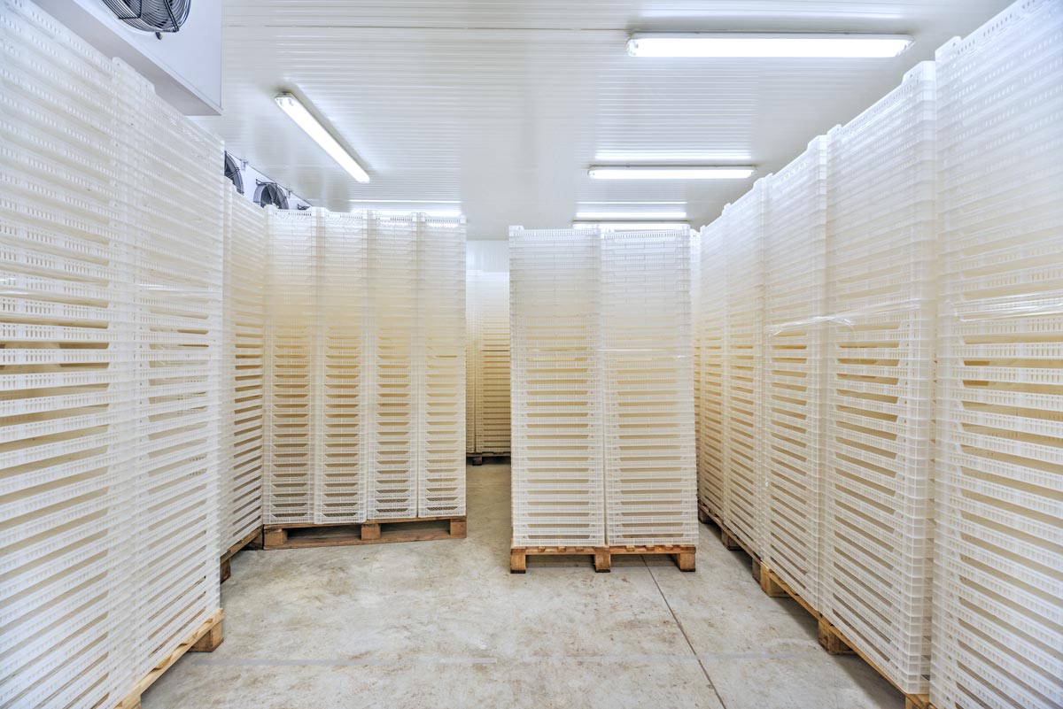 Warehouse Freezer Cold Room – Basingstoke23